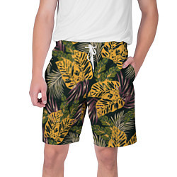 Мужские шорты Тропический лес