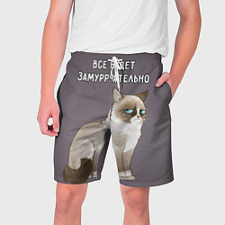 Шорты на шнурке мужские Грустный кот, цвет: 3D-принт