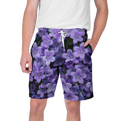 Шорты на шнурке мужские Фиолетовый цвет весны, цвет: 3D-принт