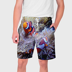 Шорты на шнурке мужские Клоуны в актинии, цвет: 3D-принт