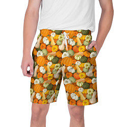 Шорты на шнурке мужские Тыквы Pumpkin, цвет: 3D-принт