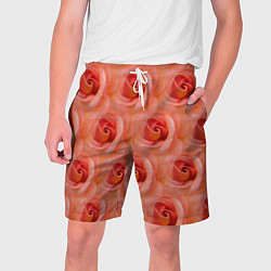 Мужские шорты Розы - цветы - паттерн