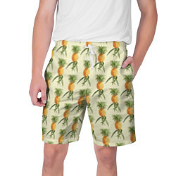 Мужские шорты Побеги ананасов