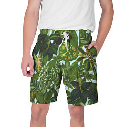 Шорты на шнурке мужские Зеленые Тропические Растения, цвет: 3D-принт