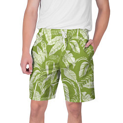Мужские шорты Зелёные Тропики Лета