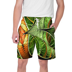 Шорты на шнурке мужские Растительный абстрактный фрактальный паттерн Veget, цвет: 3D-принт