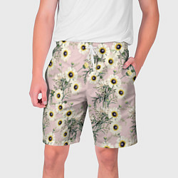 Мужские шорты Цветы Летние Ромашки