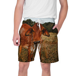 Мужские шорты Коровка на поле
