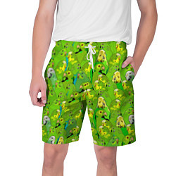 Мужские шорты Зеленые волнистые попугайчики