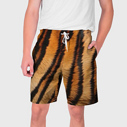 Шорты на шнурке мужские Тигровая шкура, цвет: 3D-принт