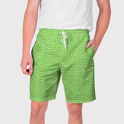 Шорты на шнурке мужские Светло-зелёный мозаика, цвет: 3D-принт