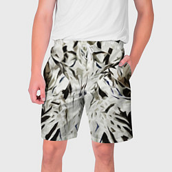 Мужские шорты Black and white abstraction