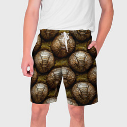 Мужские шорты Броненосцы