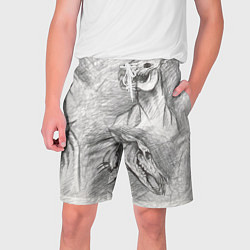 Мужские шорты Черепа лошадей - эскиз