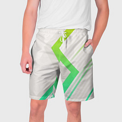 Мужские шорты Color white line green