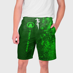 Мужские шорты Great Wall - green gradient по-вертикали