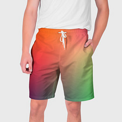 Мужские шорты Color multicolored