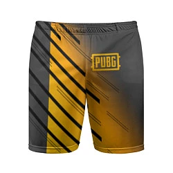 Мужские спортивные шорты PUBG: Lines Style