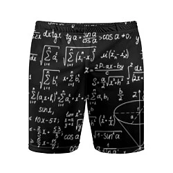 Мужские спортивные шорты Алгебраические формулы