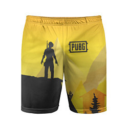 Мужские спортивные шорты PUBG: Sunrise