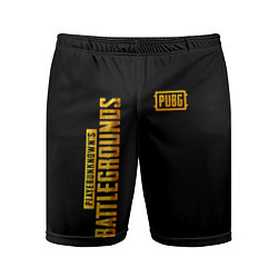 Мужские спортивные шорты PUBG: Black Style