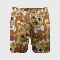 Мужские спортивные шорты I love my Yorkie