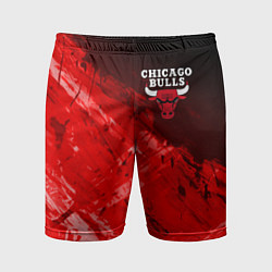 Мужские спортивные шорты CHICAGO BULLS