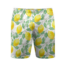 Мужские спортивные шорты Лимоны 3d