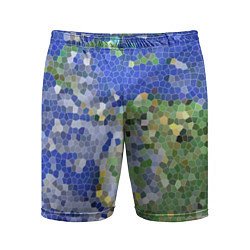 Шорты спортивные мужские Планета Земля - пиксельный рисунок, цвет: 3D-принт