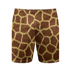 Мужские спортивные шорты Текстура жирафа