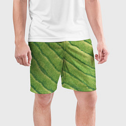 Шорты спортивные мужские Травяной паттерн, цвет: 3D-принт — фото 2