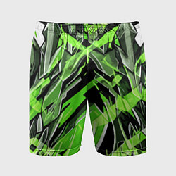 Мужские спортивные шорты Камень и зелёные полосы