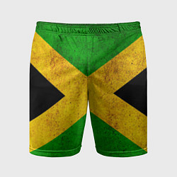 Мужские спортивные шорты Jamaica flag