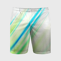 Мужские спортивные шорты Multicolored