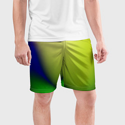 Шорты спортивные мужские The color is multicolored, цвет: 3D-принт — фото 2