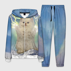 Мужской костюм Грозовой Котик