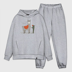 Мужской костюм оверсайз Alpaca Llama, цвет: меланж