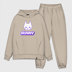 Мужской костюм оверсайз Stray x Twitch