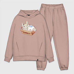 Мужской костюм оверсайз Ghibli Totoro, цвет: пыльно-розовый