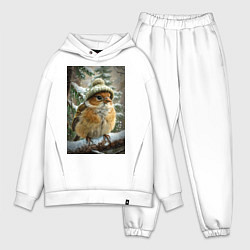 Мужской костюм оверсайз Воробей в шапке