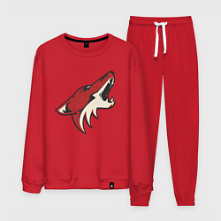 Костюм хлопковый мужской Phoenix Coyotes, цвет: красный