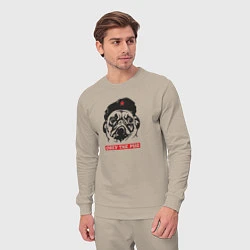 Костюм хлопковый мужской Obey the pug, цвет: миндальный — фото 2