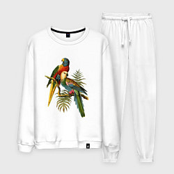 Костюм хлопковый мужской Тропические попугаи, цвет: белый