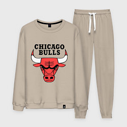 Костюм хлопковый мужской Chicago Bulls, цвет: миндальный