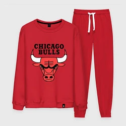 Костюм хлопковый мужской Chicago Bulls, цвет: красный