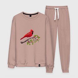 Костюм хлопковый мужской Красный кардинал, цвет: пыльно-розовый