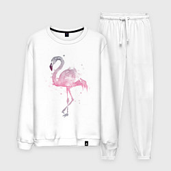 Мужской костюм Flamingo