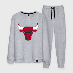 Костюм хлопковый мужской Chicago Bulls, цвет: меланж