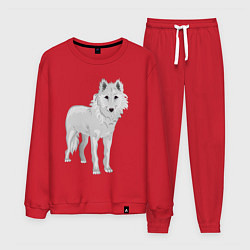Костюм хлопковый мужской Белый волк, цвет: красный