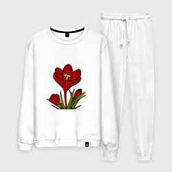 Костюм хлопковый мужской Красные тюльпаны, цвет: белый